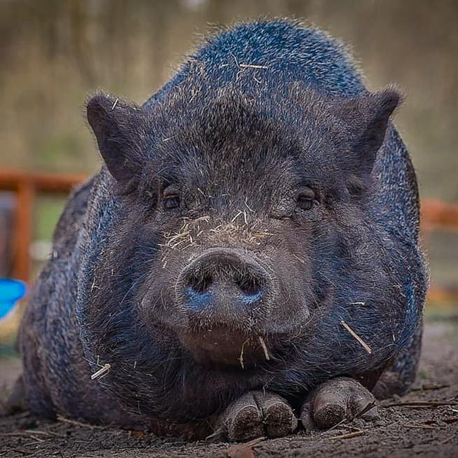 143495202_912255546209397_2993081349536484376_n