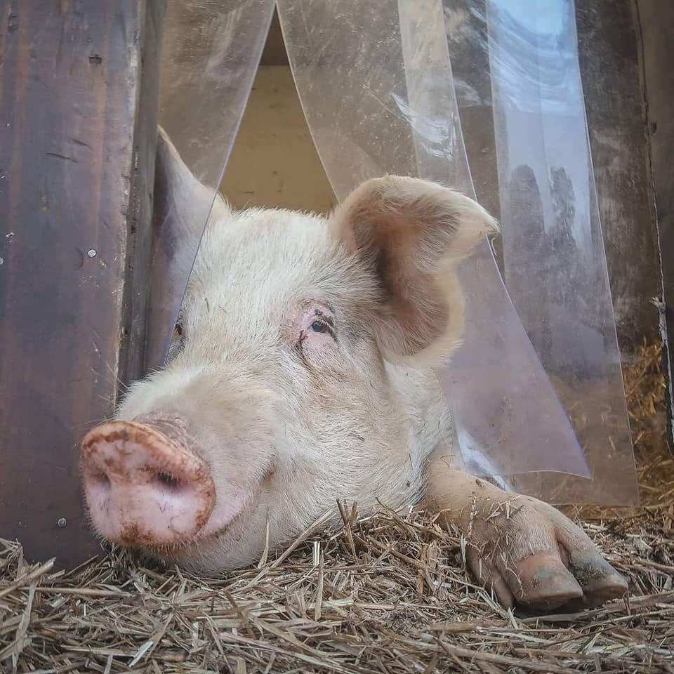 163230817_941831509918467_6661671868188999363_n