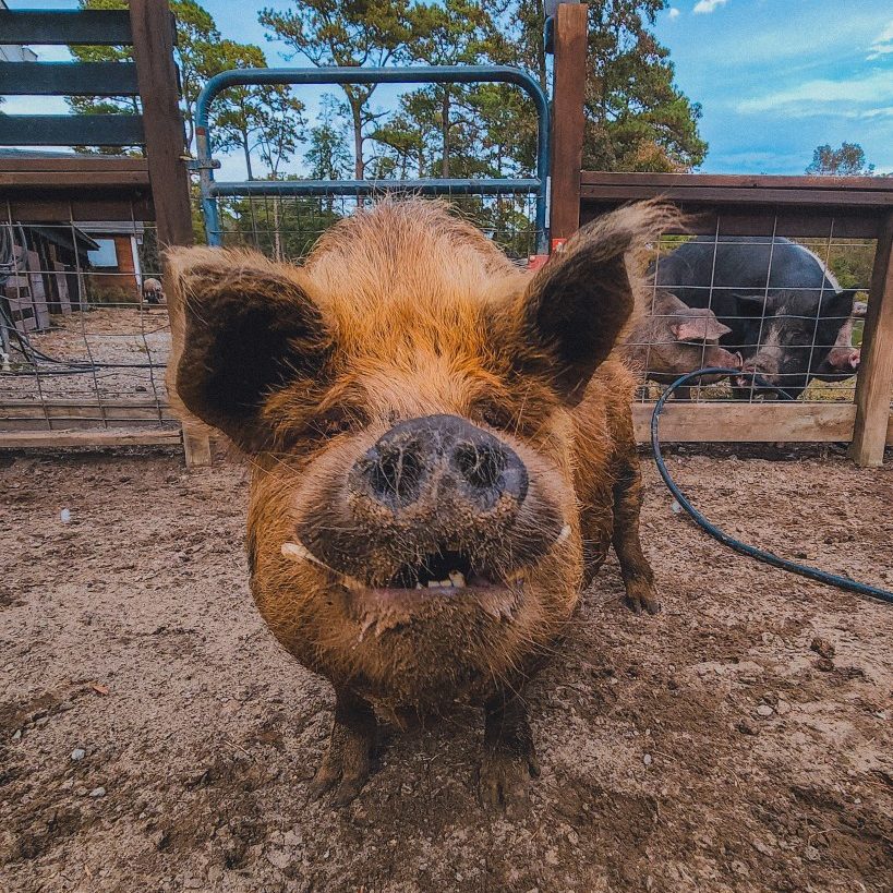 20221031_173126_029_saved (1)