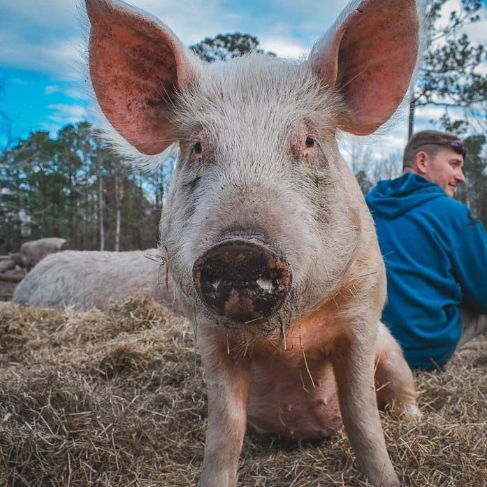 274235136_1158008794967403_3492806409749412250_n