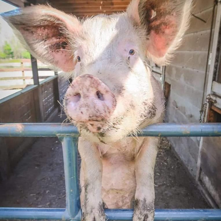 289220694_346448980968647_3310169371634413248_n