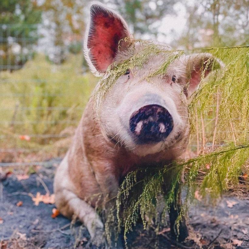 311514521_439866248293586_6612623526356106712_n