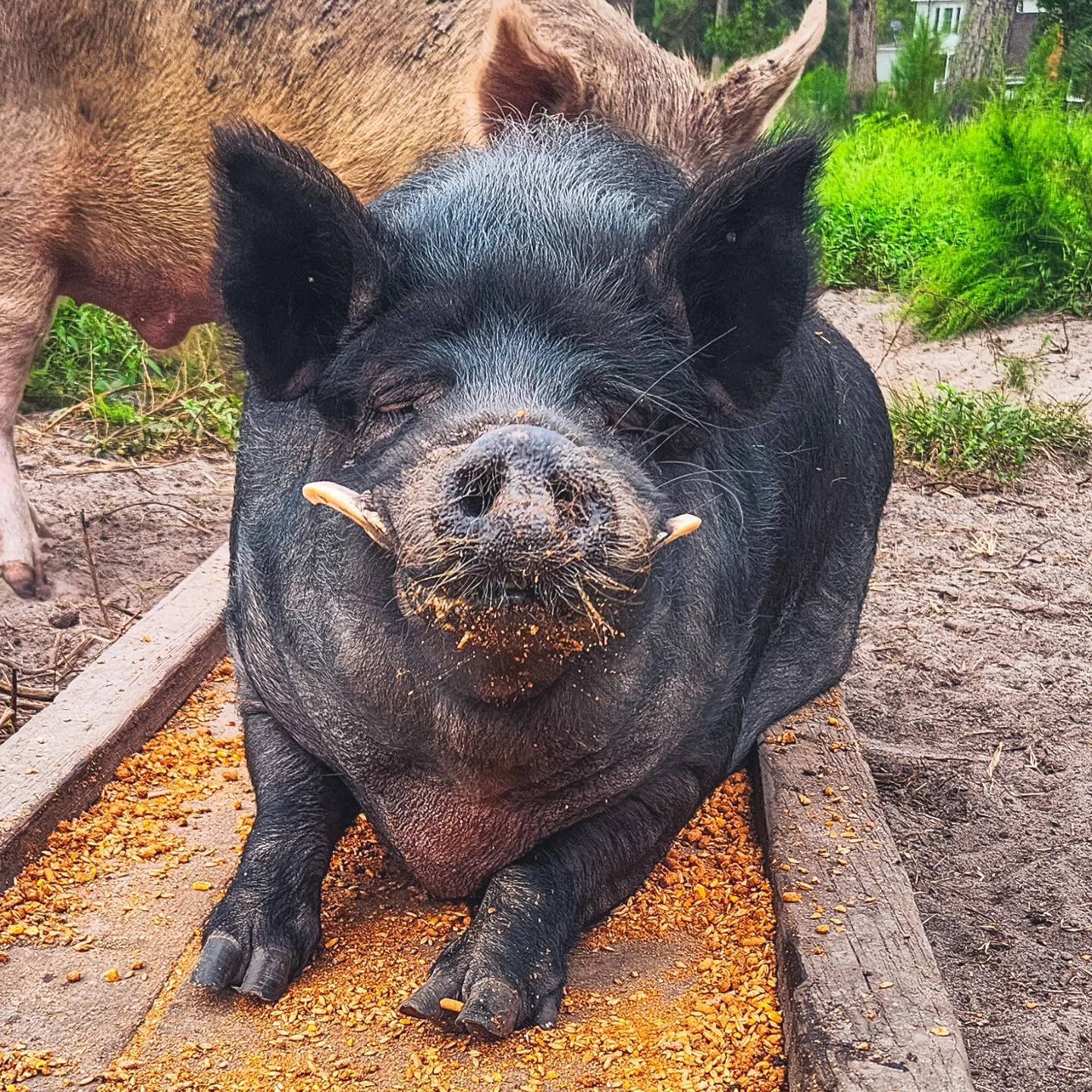 482025894_965885862358286_4920309860762535290_n