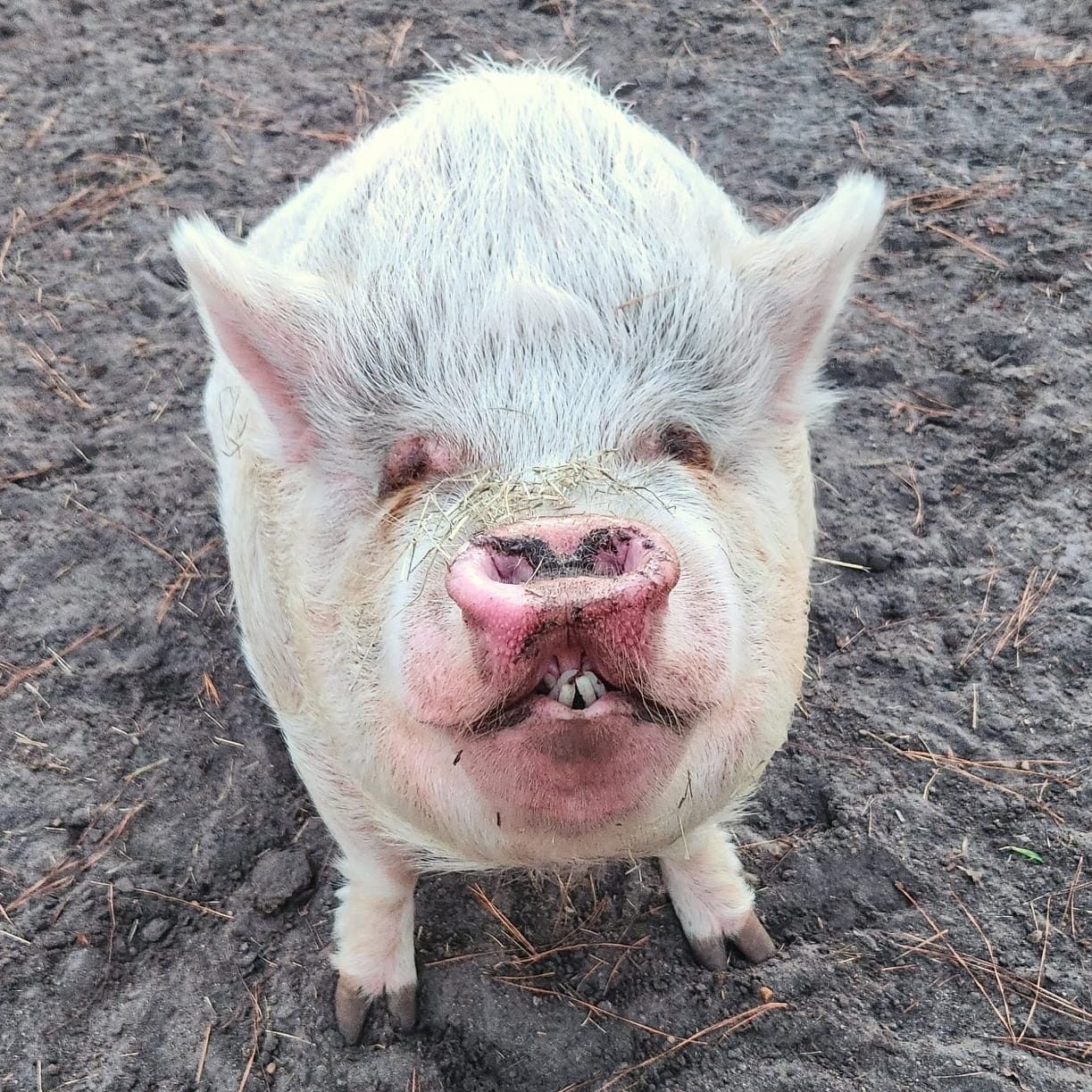 482084197_966519165628289_6712063821229459344_n