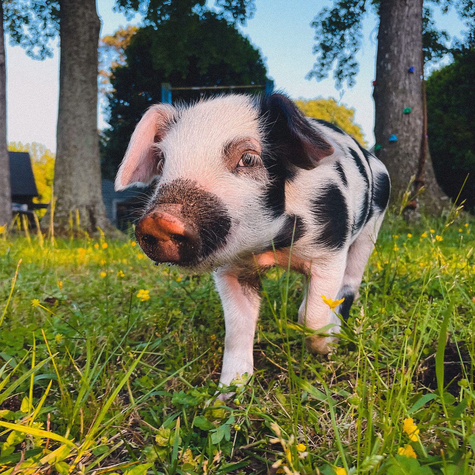 482210218_962939712652901_485981310110439080_n