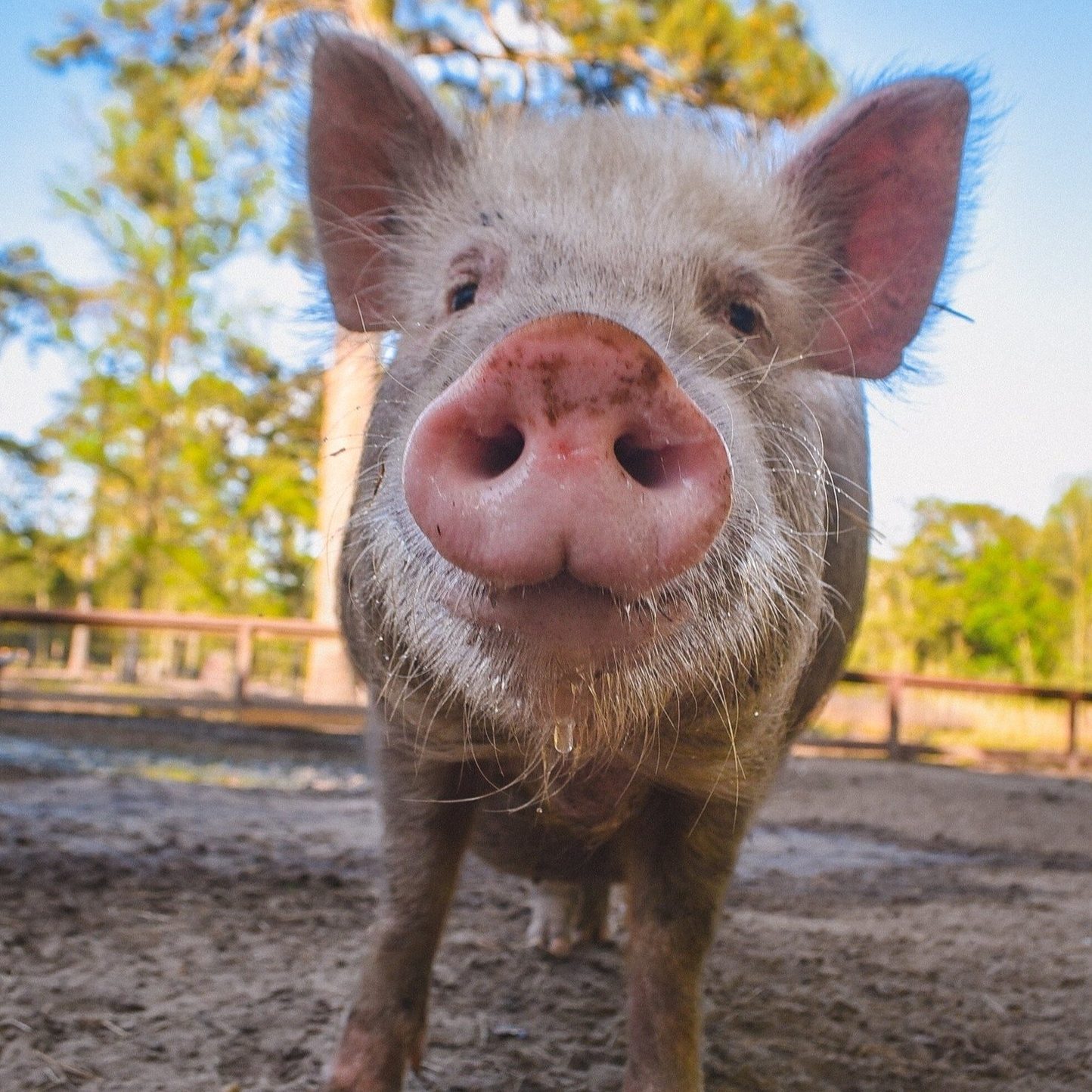 490544441_991369189809953_5299459274566872940_n