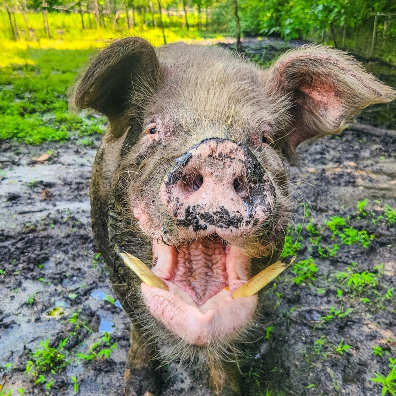 502430020_1025109623102576_2944193207990447504_n