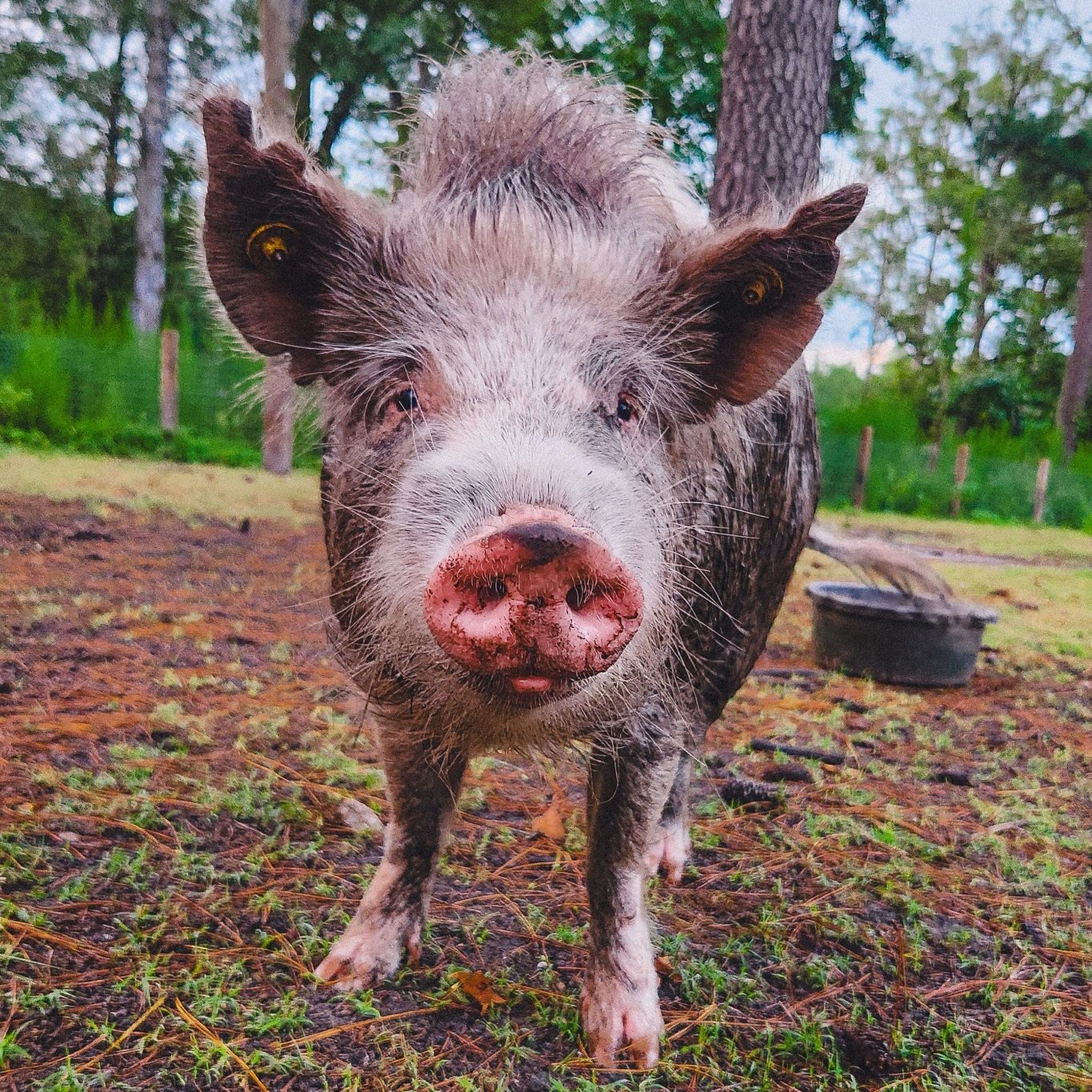 504587596_1032324009047804_8884060086906120566_n