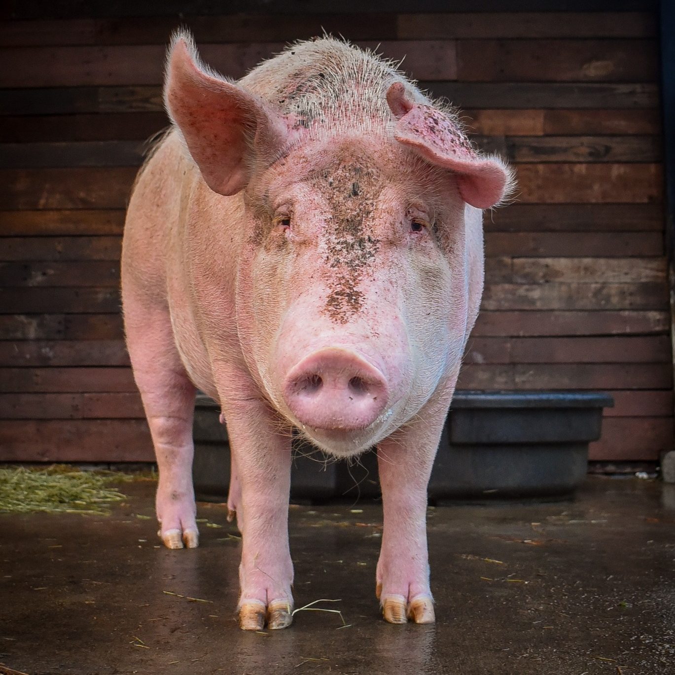 528747913_1078286021118269_2382389504402443487_n