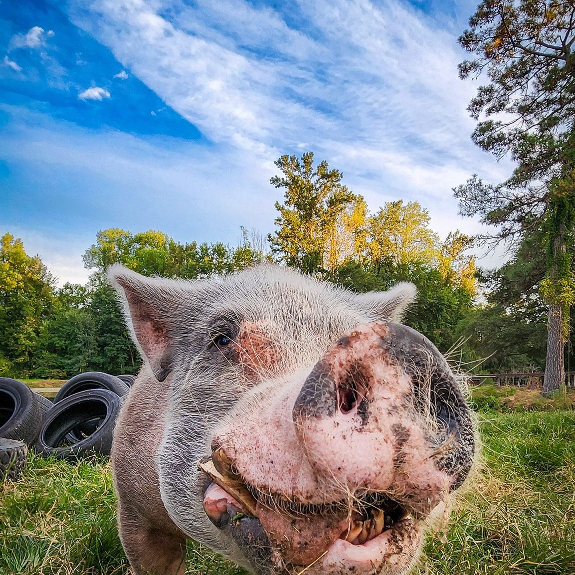 548047174_1110235857923285_192077701360181768_n