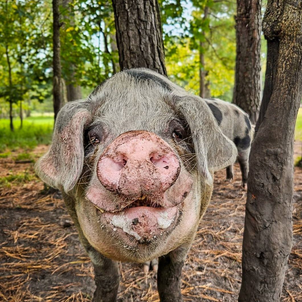 558998117_1124300783183459_982131357774639018_n