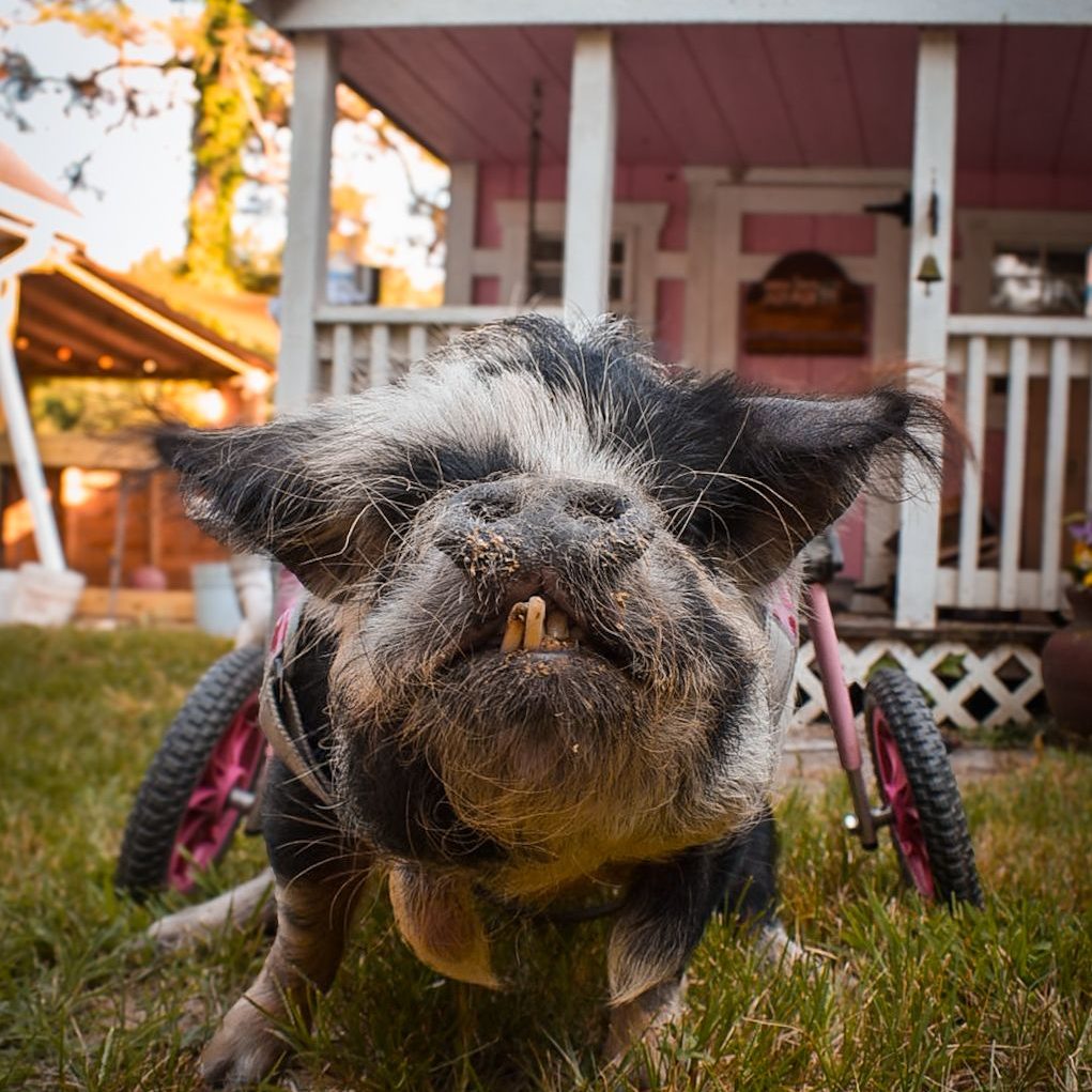 564769692_1130880445858826_5040192483799017236_n