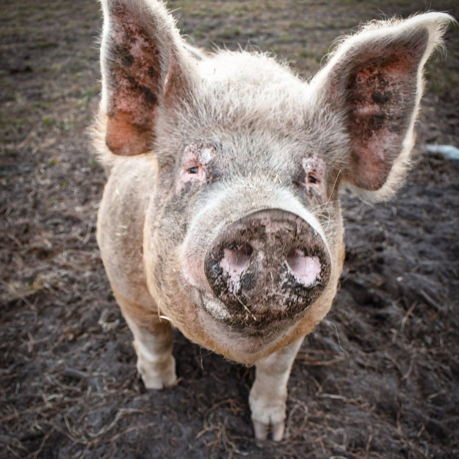 586431651_1164195949193942_1607612423366845805_n