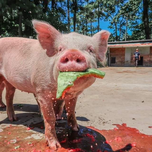 FB_IMG_1655508982512